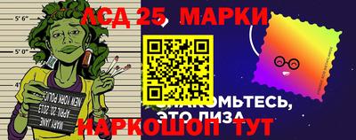 spice Кингисепп