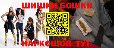 spice Кингисепп