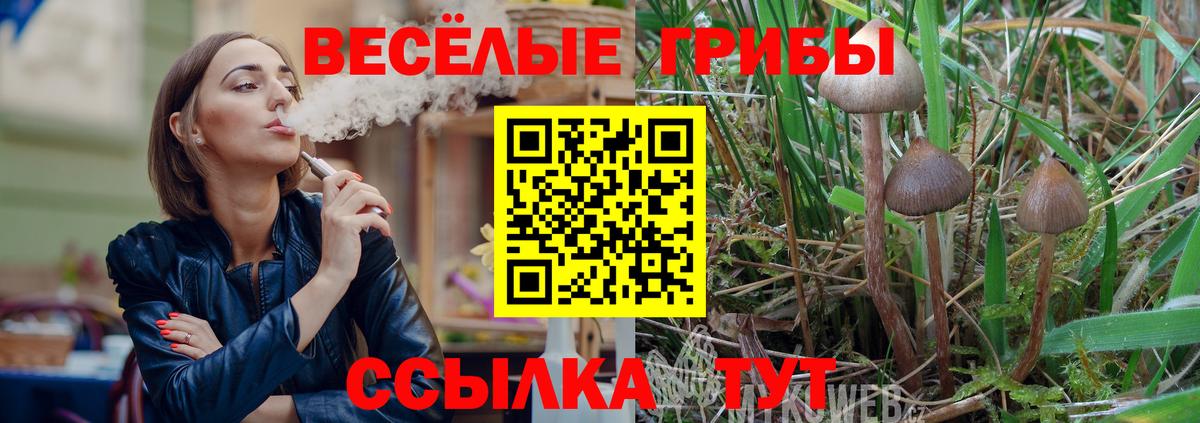 Галлюциногенные грибы Cubensis Мариинск